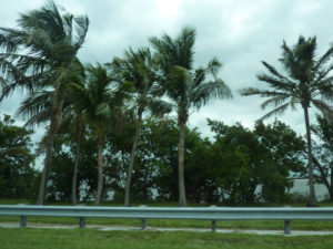 P1040149