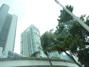 P1040153